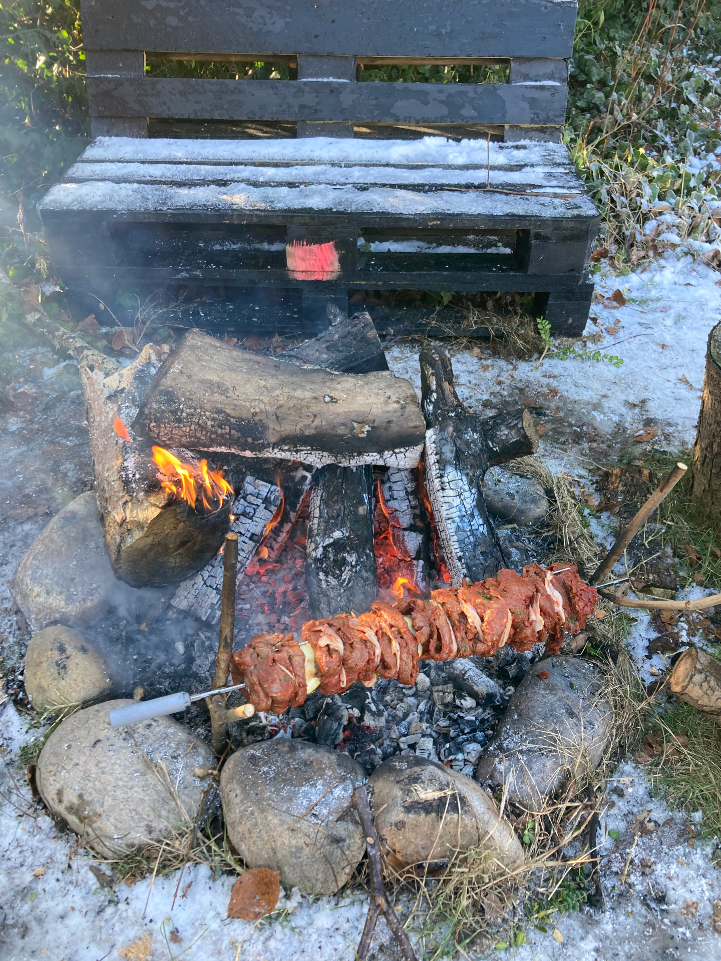 Rådyr-kebab - en anden vinterdag