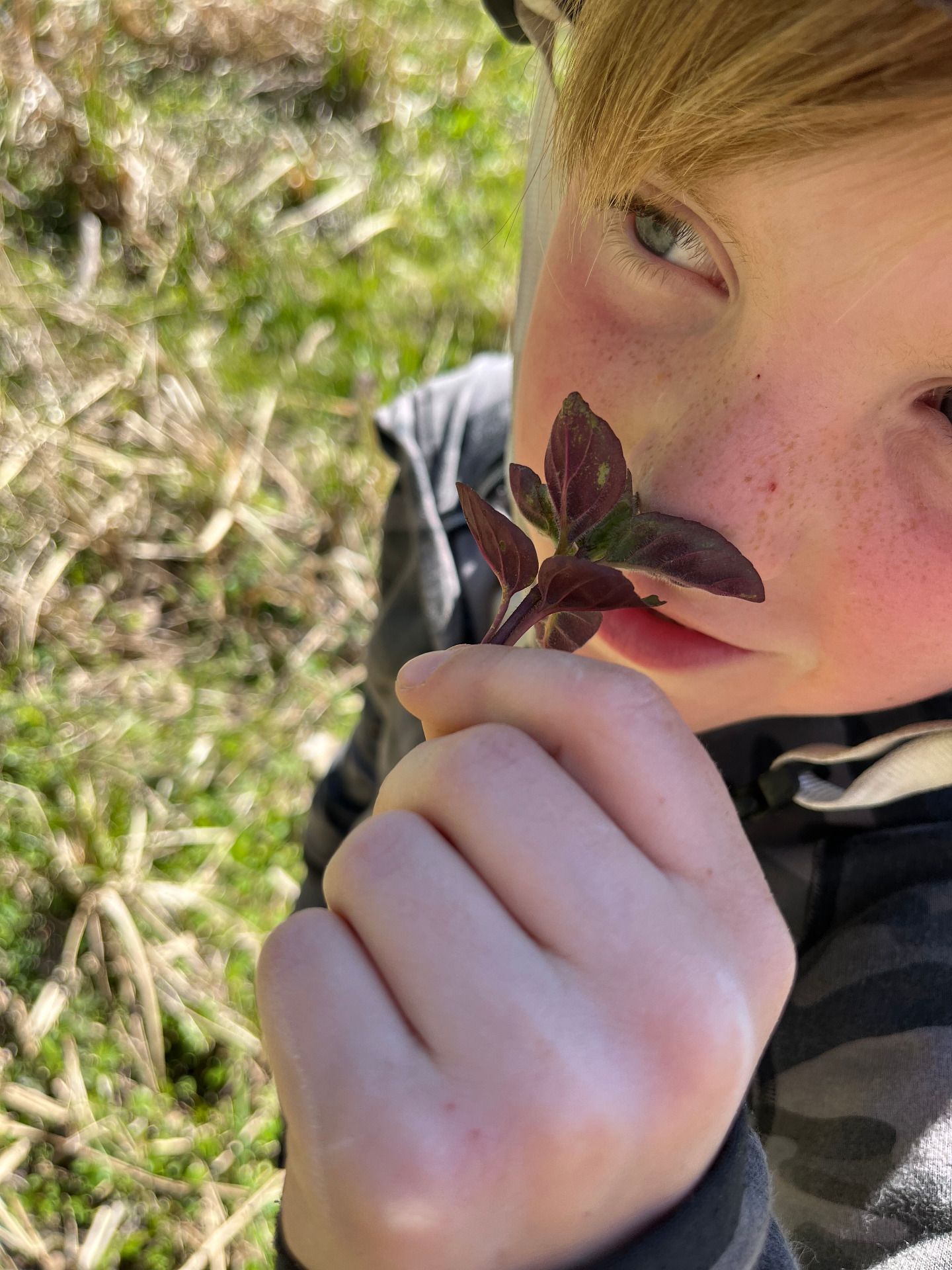 På jagt efter vandmynte